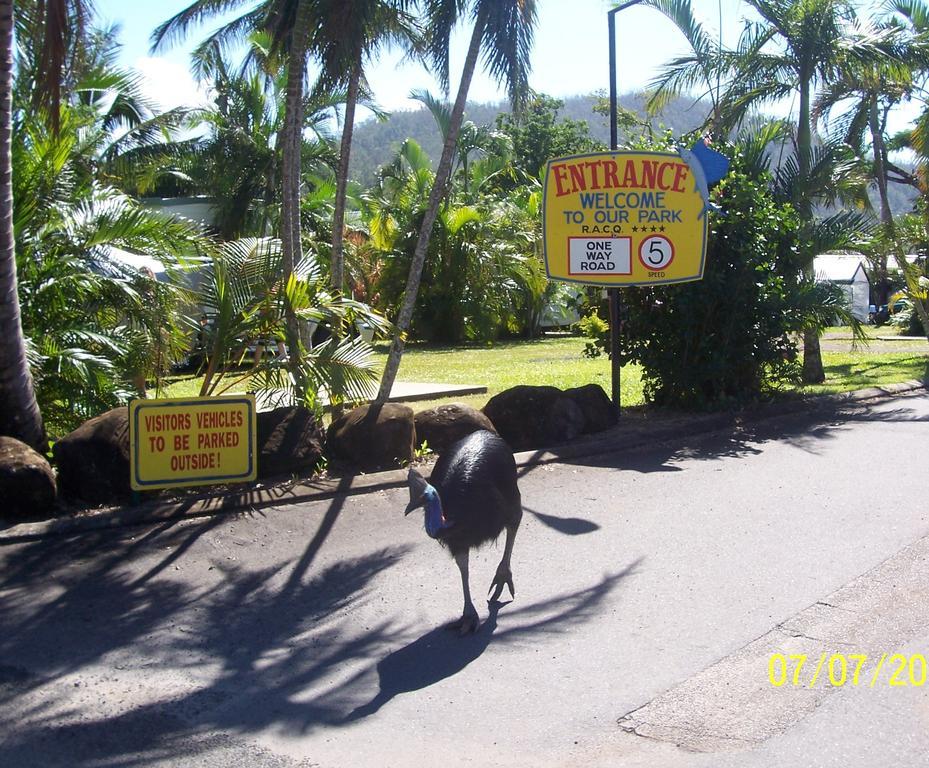 Flying Fish Point Tourist Park Hotel Innisfail Luaran gambar