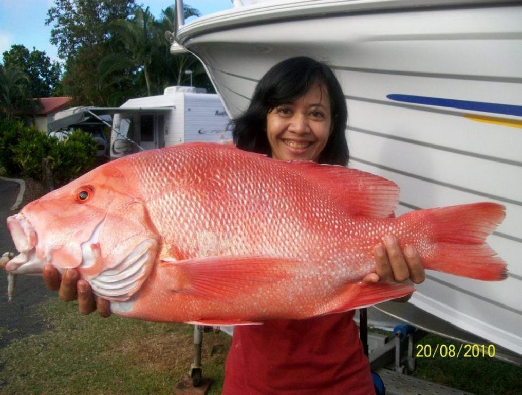 Flying Fish Point Tourist Park Hotel Innisfail Luaran gambar