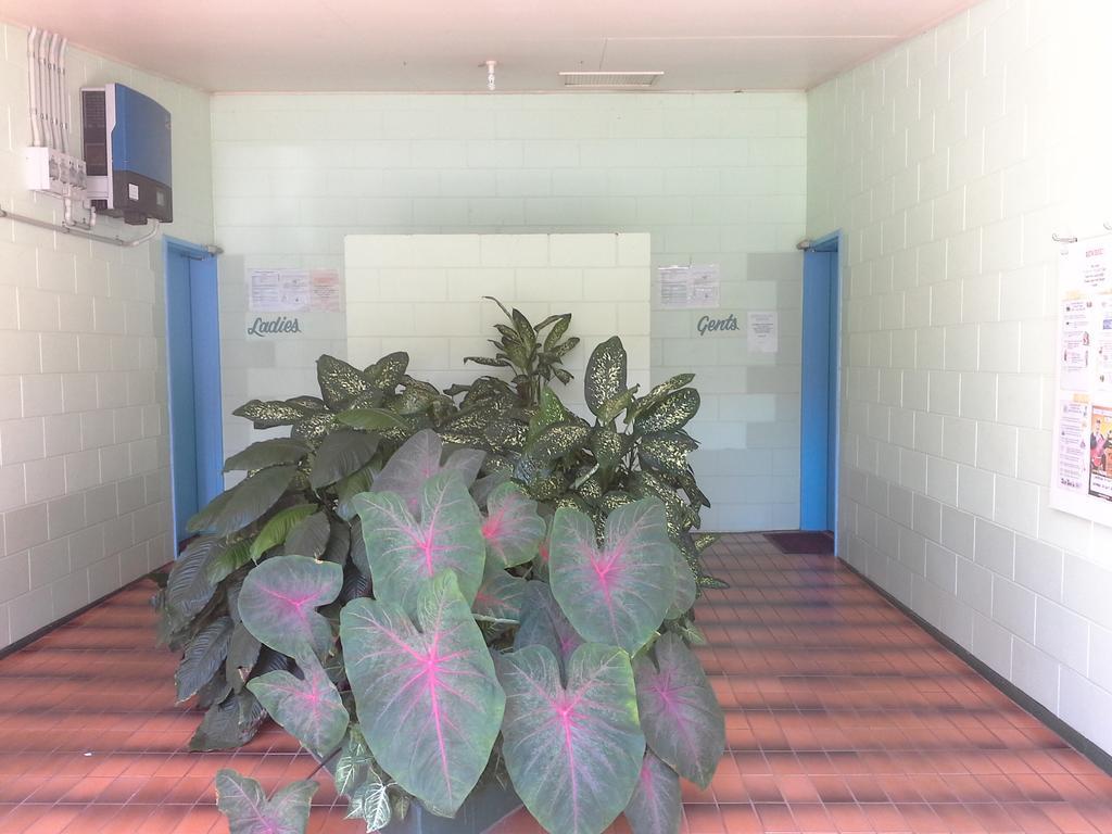 Flying Fish Point Tourist Park Hotel Innisfail Luaran gambar
