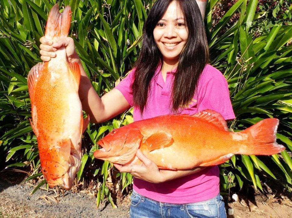 Flying Fish Point Tourist Park Hotel Innisfail Luaran gambar