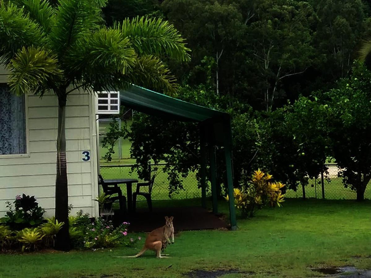 Flying Fish Point Tourist Park Hotel Innisfail Luaran gambar